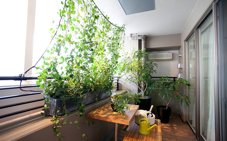 ベランダガーデニングは初心者でもok 育てやすい植物や注意点 Lixil Square